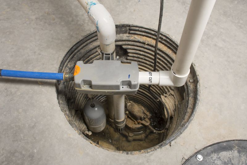 Cleaning Sump Pump Components